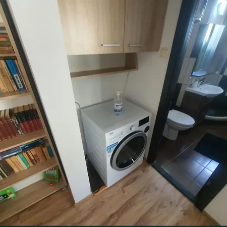 Apartament Andrei *