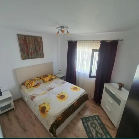 Apartament Andrei إيفوري نورد